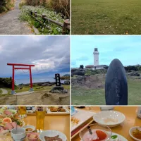 旅の記録〜いとこ夫婦と南房総|とまと🍅さん