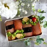 4/20❤︎主人のスパムおにぎり弁当🌱
（プレーン、焼肉タレ）

＊ お昼ごはん
＊ 主人弁当
＊ スパム
＊ たまご焼き
＊ ちくわの磯辺揚げ
＊ スパムおにぎり 
＊五目春巻き|Makinsさん