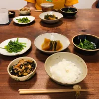 ひじきの煮物、茎ブロッコリーのサラダ、聖護院だいこんとかつお菜のたいたん、のらぼう菜のおひたし|タロッカ主夫見習いさん