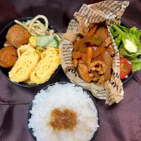 毎日あ|らむぴさん