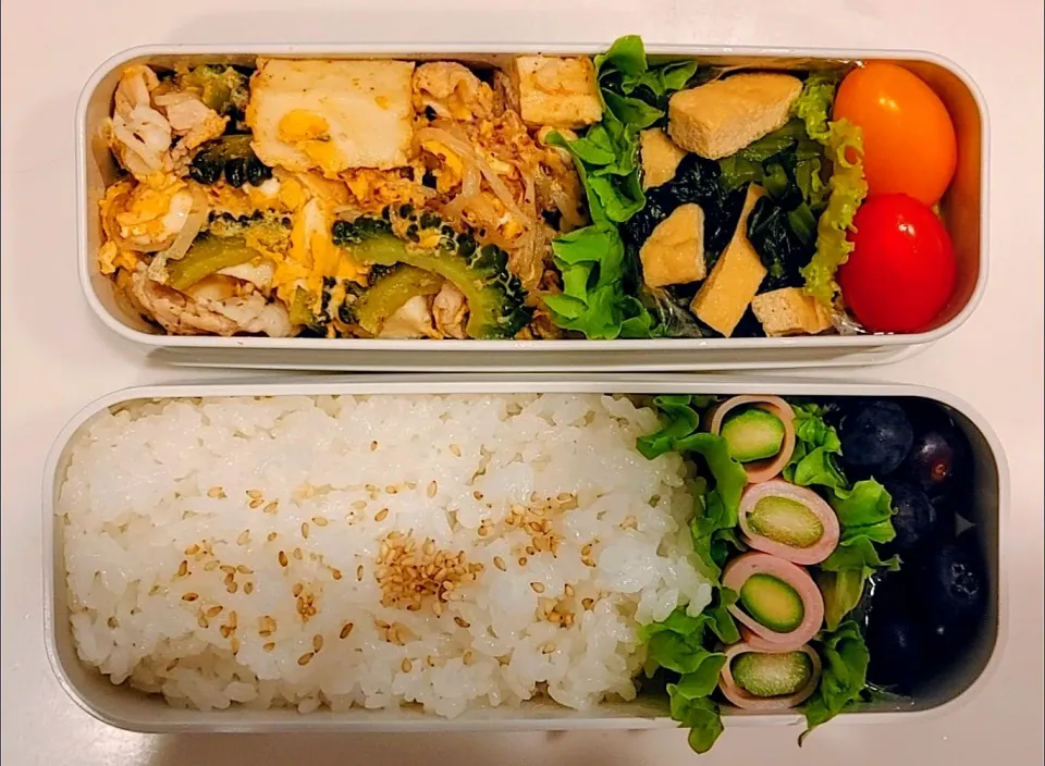 中学1年生　娘のお弁当　10日目（20260421）|さくらさくさん