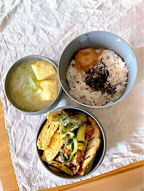 今日の旦那さんお弁当🌱|さくたえさん