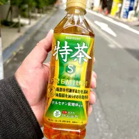 今日の痩身茶などなど|にゃあ（芸名）さん