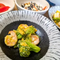 エビとブロッコリーの卵とじ（シニア食）|りょうさん