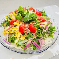 「サラダうどん」