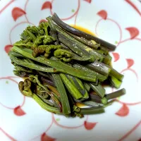 わらびの辛子酢醤油| 藤田 まり子さん
