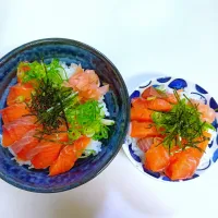4/21 サーモン丼　痩せたい母と太りたい息子|豆大福さん