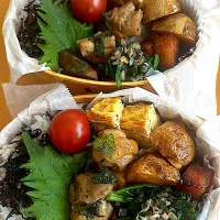 鶏肉ごぼう弁当| hiro♪kouさん