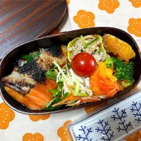 鮭弁‼️|がおりんさん