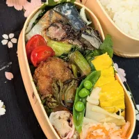 昨日の鯖弁当と本日の焼豚弁当|f.1125beさん