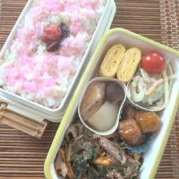娘弁当🐮！|まめころさん