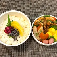 高校生息子のお弁当🍱 ポークチャップ弁当🍱|Snow10さん