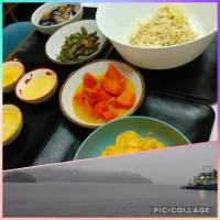 高知は朝から⛈️ま、いっか🥳|ジローズさん
