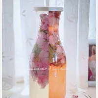 八重桜酵母🌸|yucca@さん