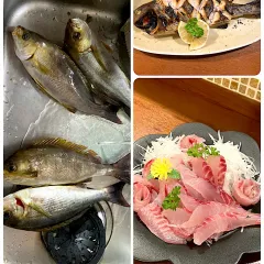 チヌのお刺身 松皮造/kurageyakanno | Snapdish[スナップディッシュ