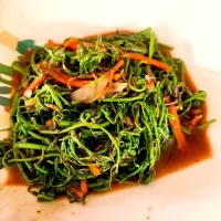 Midin or Jungle Fern. Crisp wild vegetable from Sarawak. Stir-fried with shrimp paste belacan or garlic| HeyJudeさん
