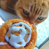 シナモンロールでリフレッシュ😽いい香り| さくらんぼさん