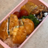 妻お弁当（ささみしそチーズ焼き）|takezooさん