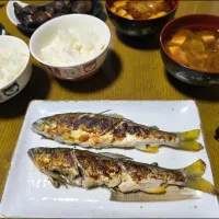 鮎の塩焼き