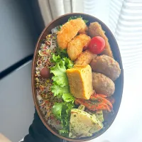 今日のお弁当🍱|Mikanさん