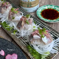 鯵のお刺身🐟|ゆーこどんさん