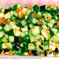 今年もお世話になります♬夏野菜のだしっ|あんみっちゃんさん