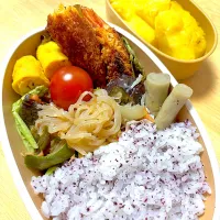 26.4.28⭐️女子高生のお弁当⭐️|ニャオさん