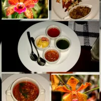 ✈️My trip to Sri Lanka with my Sis🏝
         Tomato soup, vegetable curry, beef skewers with cheese, rice, shrimp and sauces