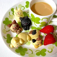 猫ちゃんクッキー🐱🍪|ナナさん