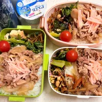 今日のお仕事弁当♪2026.5.1| ぐぅさん