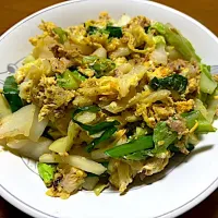 鳥🐓胸肉の野菜炒め❗️(๑･̑◡･̑๑)✨
