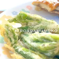 サクサク ウドの天ぷら|ヒロさん