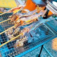 BBQ|meg*ˊᵕˋ*megさん