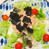 2026 0503　ツナサラダそうめん| いもこ。さん