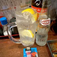 瓶のウィルキンソンが嬉しい 県外ではほとんど販売されてないイエローキャップの二階堂で焼酎ボール|🐈⸒⸒⸒⸒つるのダンス🐈🐾さん