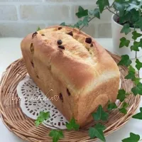 ３種のレーズン食パン☺️🍇| あみさん