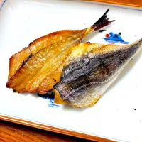江戸前釣り小鯵の干物|Akira Sugiharaさん