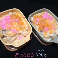 チキンマカロニグラタン✨|cocco+さん