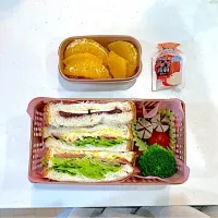 高校生娘お弁当5/6（水）|hana-bloomingさん