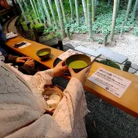 報国寺竹の庭で次いで抹茶をいただきます| なびさん