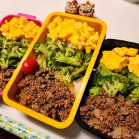 私、夫、娘弁当|みどりさん