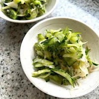 大根きゅうり大葉のあっさりサラダ🥗|ヨウコさん