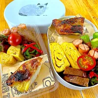 今日のお弁当|Daikiさん