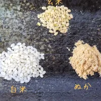 精米した時の『ぬか』を使って糠床を作りました|osanpowankoさん