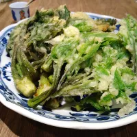 タラの芽とこしあぶらの天ぷら