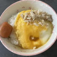 |ごはんーさん