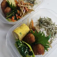 ☆冷凍弁当☆|ｼｮｺﾗさん