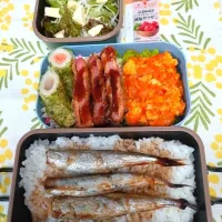 🍀2026/0508(金)エビチリ弁当|ともちんさん