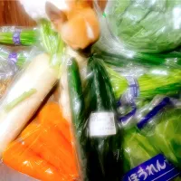 野菜達ともなかちゃん（笑）|Reikoさん