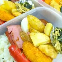 今日のお弁当20260509|小料理あやさん